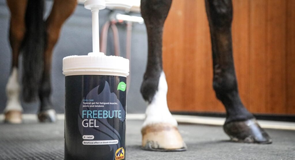gel for horses joints