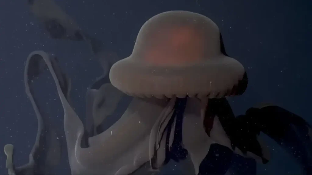 Giant Phantom Jelly
