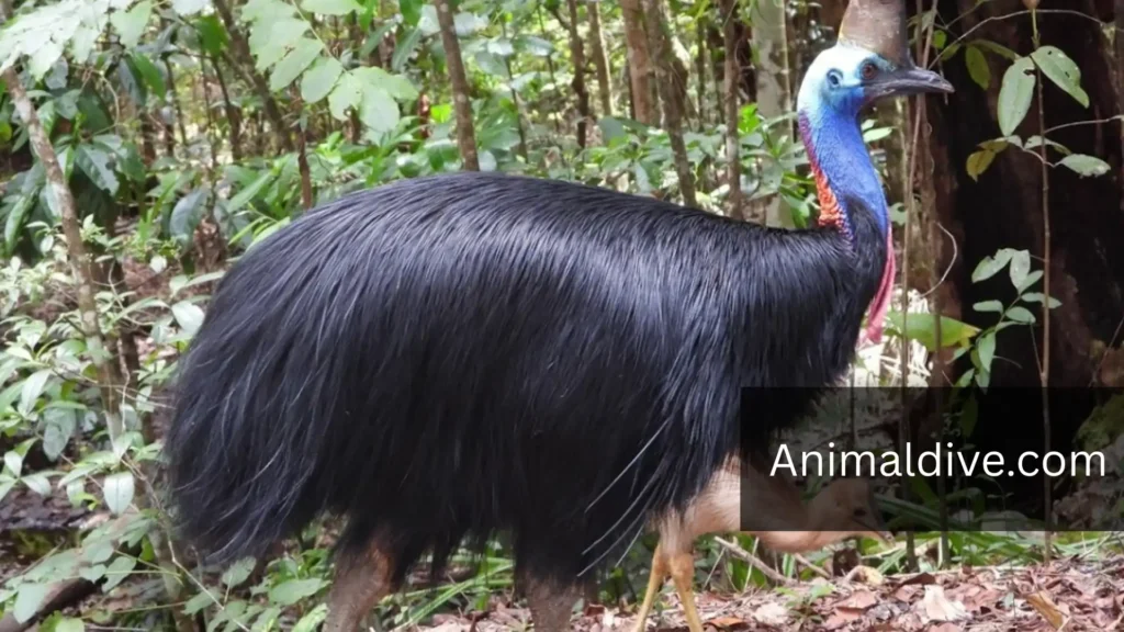 strongest birds in the world