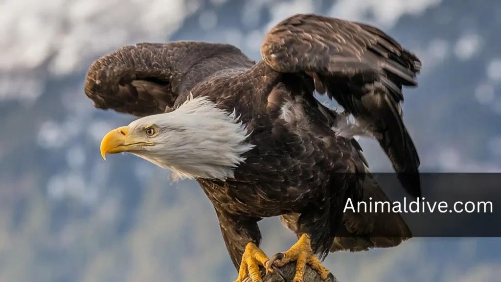 top 10 strongest birds