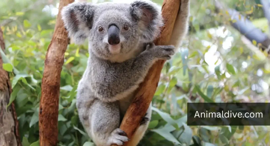Animal With the Lowest IQ