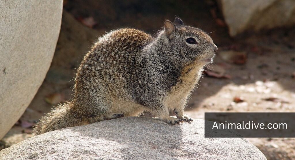 Animals That Eat Wild Fruits And Berries