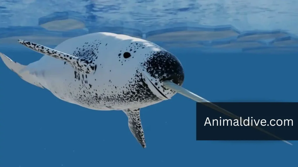 Animal Flippers